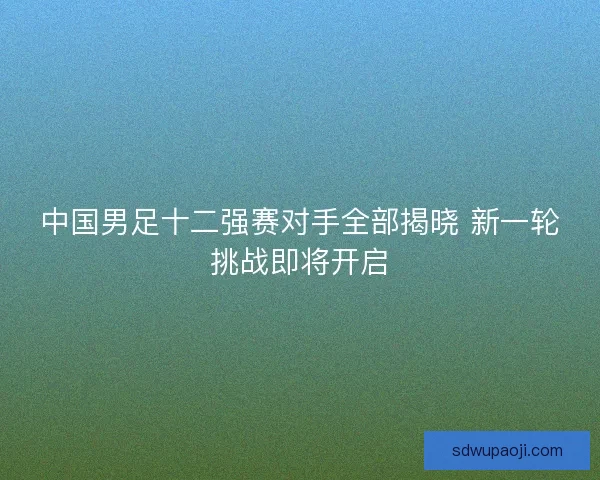 中国男足十二强赛对手全部揭晓 新一轮挑战即将开启