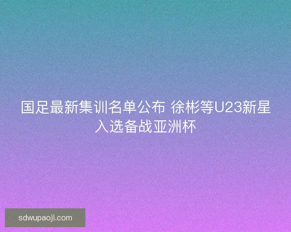 国足最新集训名单公布 徐彬等U23新星入选备战亚洲杯